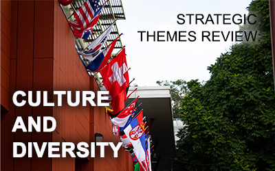 Strategic Themes Review Culture and Diversity