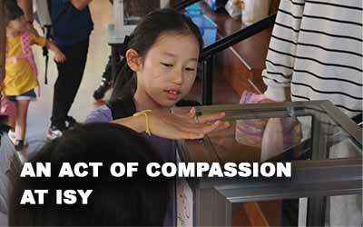 An Act of Compassion at ISY