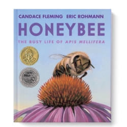 The confining walls of the hive fall away as Apis takes to the air, finally free, in a brilliant double-gatefold illustration where the clear blue sky is full of promise-- and the wings of dozens of honeybees, heading out in search of nectar to bring back to the hive. Great for Middle School students.