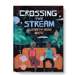 Ato and his friends have entered a competition to enter a very unique island bird sanctuary. Before that happens, Ato notices something is poisoning the community garden, and Ato sets out to track down the culprit. In doing so, he brings his estranged mother and grandmother back together, and begins healing the wounds left on the family by his father’s death years before. Recommended for Middle School students.