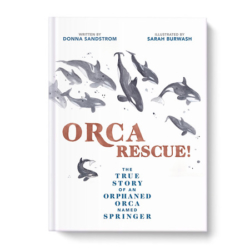 In 2002, a young orca was found lost and alone. Researchers soon discovered that the orca was a two-year-old named Springer. She had been separated from her family, who lived almost 400 miles away! Without human help, Springer would never rejoin them. But no one had ever successfully reunited a wild orca with its pod. How could she be rescued and safely returned? Recommended for Middle School students.